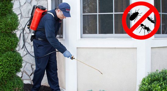 Yeniçağa Kene İlaçlama böcek ilaçlama ve haşere kontrolü — ilaclama-tr.com